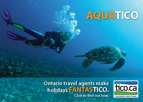 Aquatico